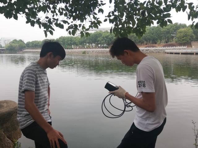 点击查看原图